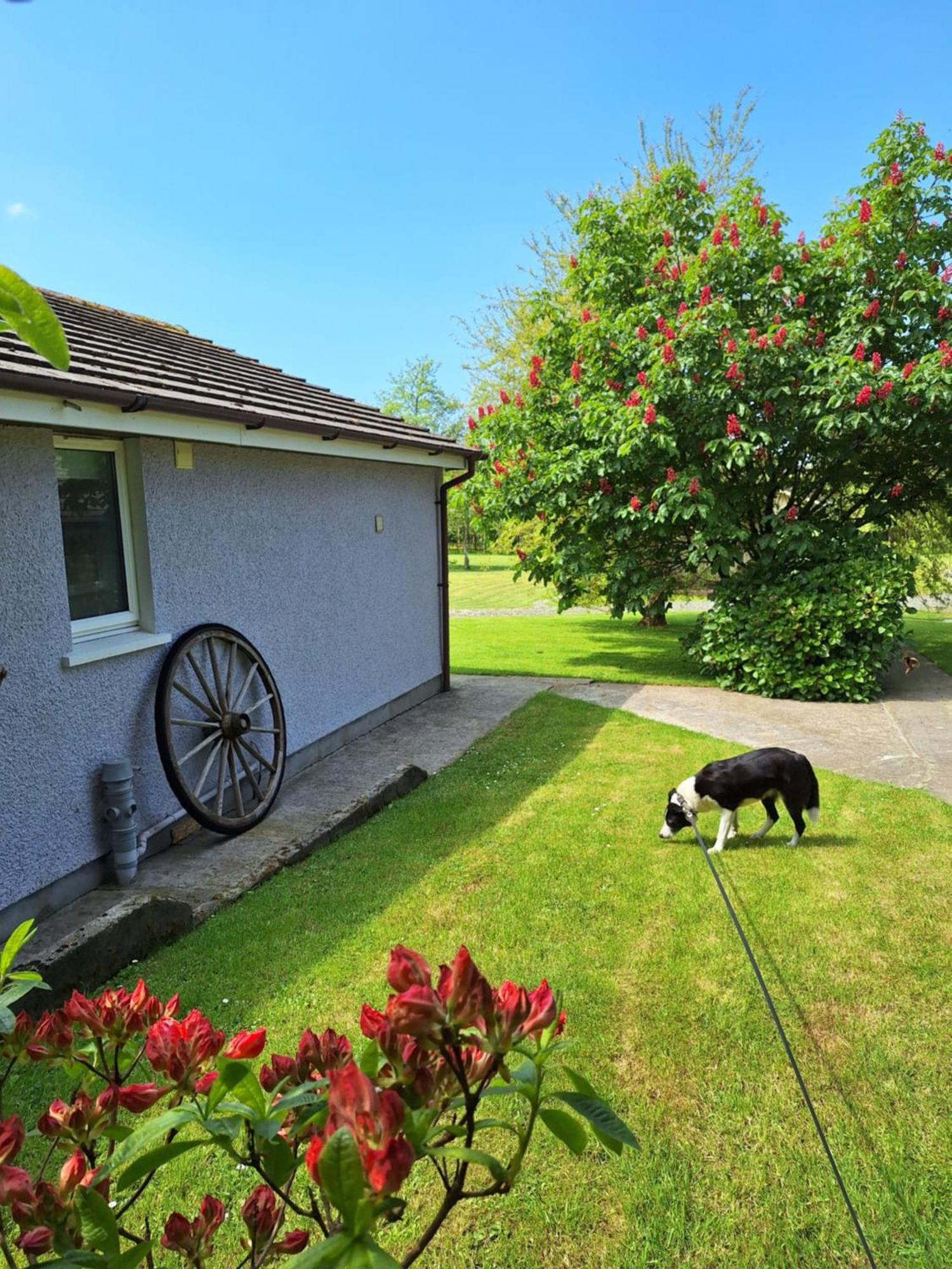 Thornbury Holiday Park Hotel Exterior foto